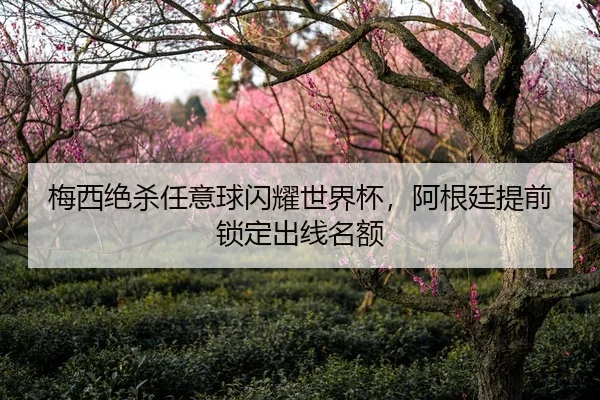 梅西绝杀任意球闪耀世界杯，阿根廷提前锁定出线名额